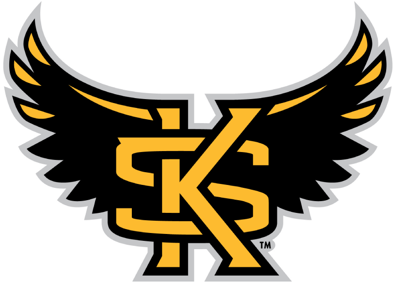 Kennesaw State Owls 2012-Pres Alternate Logo t shirts iron on transfers